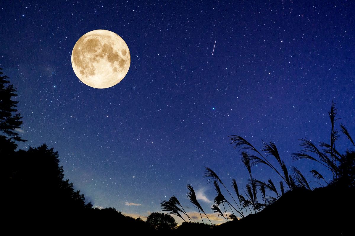 十三夜、名月の瞑想 – taozen
